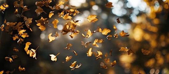 Golden maple leaves falling through a blurred park background with soft sunlight creating an autumn ambiance and ample copy space on the sides.