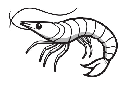 recommend clip art: shrimp line art vector , shrimp icon vector, Sea lobster 