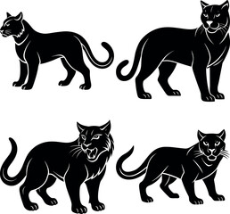 Download Wildcat Silhouette Vector High-Resolution & Easy to Use.