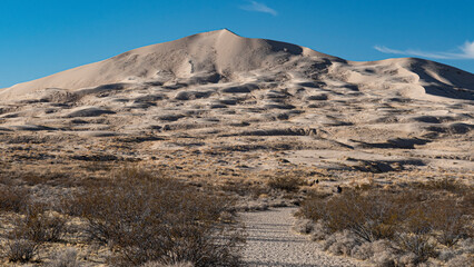 A towering sand dune rises gracefully in the desert landscape, mirroring the undulating curves of nature and inviting exploration under the vast blue sky.