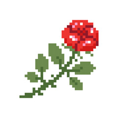 Fototapeta premium Bright red rose with leaves in pixel style. Vector flat Illustration for romantic floral designs.
