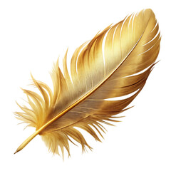 Golden birds feather © Ahmad