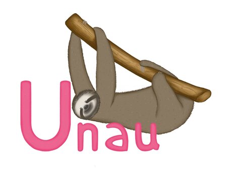 Illustration of unau or sloth  for kids alphabet on white background. Letter U. Unau. Sloth