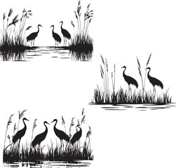 Wetlands with Cranes Wading the silhoueette vector