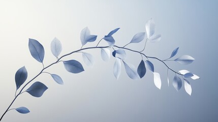 Delicate Silver Leaves Arranged Artistically on a Light Blue Background Showcasing Intricate Details and Soft Textures During Daytime