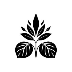 Black and white minimalistic symmetrical design of leaves on a plant.