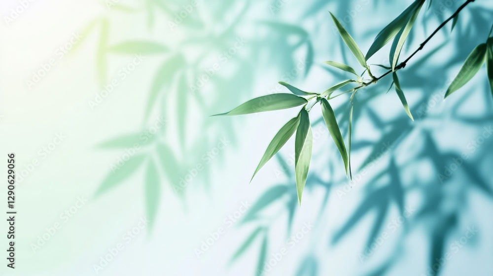 Poster delicate bamboo leaves casting soft shadows against a light background in a serene setting