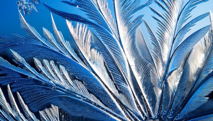 Extreme close-up of star-like frost crystals forming on glass, creating intricate, delicate patterns that glisten in the cold