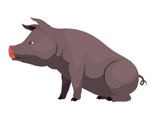 Pig set flat cartoon isolated on white background. Black pig vector illustration