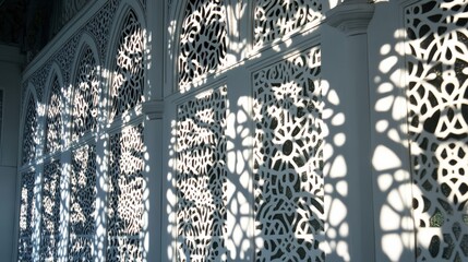 Intricate Shadows Cast by Decorative Wall Panels in Bright Light
