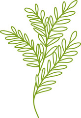 vector illustration flower