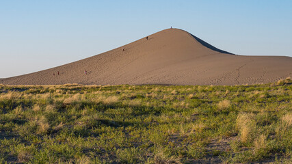 A breathtaking view of a majestic sand dune rises seamlessly from lush greenery, highlighting the contrasting elements of nature in a serene landscape.