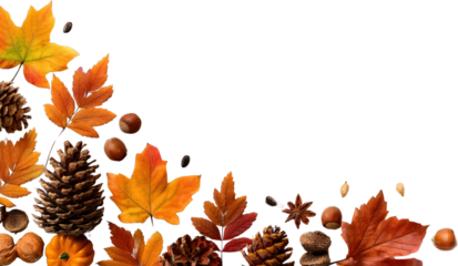 Autumnal Composition Vibrant Fall Leaves Pinecones Nuts and Mini Pumpkin on Black