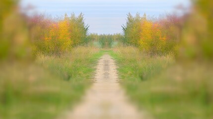 Fototapeta premium Autumnal Path Through a Field of Green and Yellow Plants