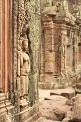 An apsara inside the Prasat Preah Khan temple, carved into a sandstone wall overgrown with red and green moss, lichens, Angkor Wat, Siem Reap, Cambodia