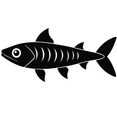 Powerful Barracuda Fish Illustration

