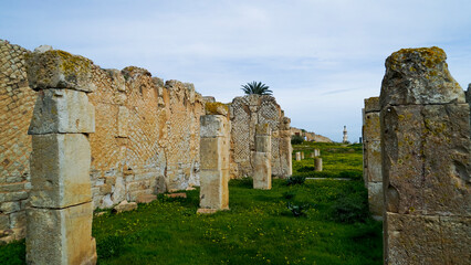 L'area archeologica di Bulla Regia,con i resti dell'antica città Romana e le abitazioni...