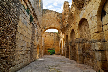 L'area archeologica di Bulla Regia,con i resti dell'antica città Romana e le abitazioni...