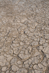 The cracked earth shows the impact of dry conditions, emphasizing the harsh yet beautiful reality...