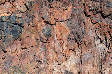 This image presents an abstract view of a vibrant rock face, highlighting its intricate textures and layered colors that represent nature's artistry.