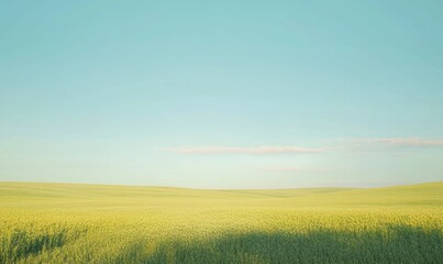 vast field of green soy plants, rows upon rows stretching to the horizon under a clear blue sky. The scene captures the essence and beauty of the agricultural landscape