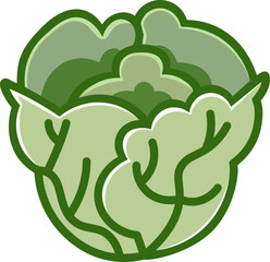 Cabbage - Fresh and Healthy Vegetable Colored Outline Icons