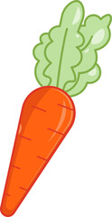 Carrot - Fresh and Healthy Vegetable Colored Outline Icons