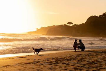 A heartwarming beach scene at sunset, where a parent and child share a moment by the waves while a...