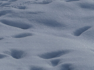 Pristine White Snow Surface Highlighting Texture and Fresh Winter Serenity