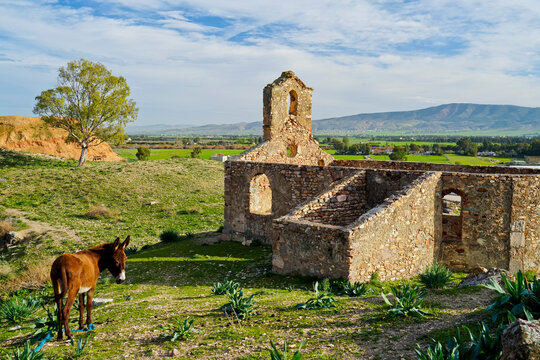 L'area archeologica di Chemtou,con i resti dell'antica citt&agrave; Romana e le miniere di estrazione delle pietre che fornivano la vicina Bulla Regia,El Kef , Tunisia	