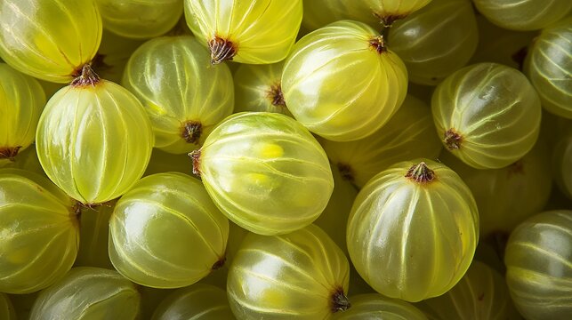 光沢のある黄色いグーズベリーの背景クローズアップ | Close-up Background of Shiny Yellow Gooseberries