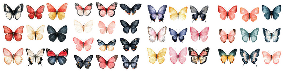 Vibrant Butterfly Collection with Diverse Colorful Patterns and Designs  Delicate and Captivating Insects with Intricate Wings in a Variety of Hues and Shapes