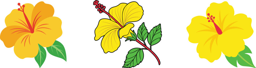 Yellow Hibiscus flower vector set. Set of Hibiscus flower colorful vector.