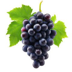 Fototapeta premium Fresh Juicy Grapes with Vibrant Green Leaves Isolated on Transparent Background