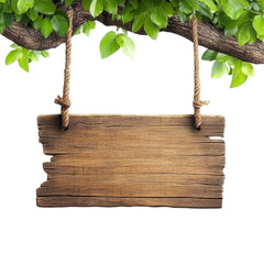 Rustic Wooden Sign Hanging from a Green Leafy Tree Branch