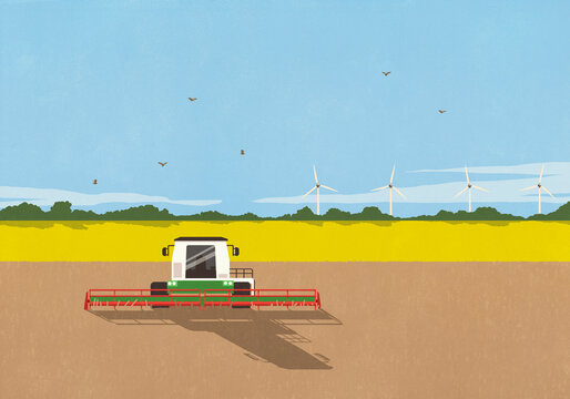 Combine harvester in sunny, rural farm field with wind turbines in background
