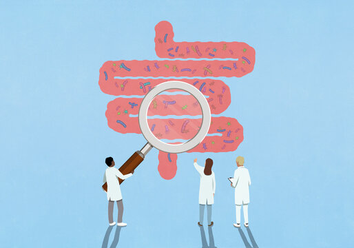 Scientists with magnifying glass examining bacteria in intestines
