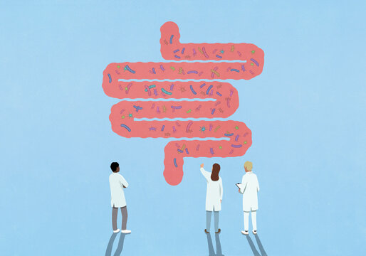 Scientists examining various bacteria in large pink intestines
