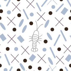 Colorful Mantis Shrimp Pattern