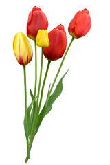 Obraz premium Blumen 1541