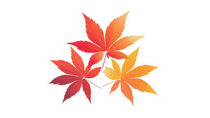 A digital illustration depicting three stylized maple leaves arranged in a triangular formation against a pure white background.  The leaves exhibit a gradient of colors, transitioning from