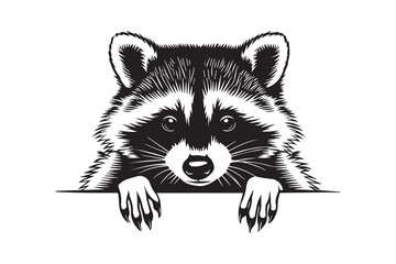 Peeking Raccoon Illustration in Black and White vector
