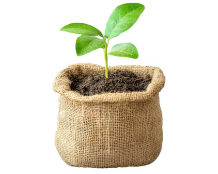 plant growing in jute bag filled with soil, symbolizing growth and sustainability. This captures essence of nurturing nature and eco friendly practices