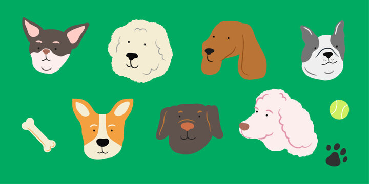 Different types of dogs simple vector Illustration. Poodles, Chihuahua, Labrador, Shiba, Bichon, Dachshund, Terrier, Paw, Bone, Tennis ball
