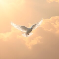Obraz premium dove in the sky
