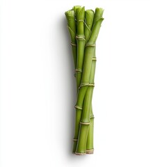 Fototapeta premium Green Bamboo Shoots Bundle on White Background