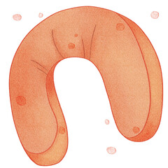 hand drawn travel items set with watercolor on paper texture