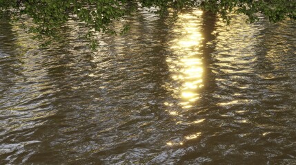 Sunset river reflections, trees, tranquil water, nature background, idyllic scene