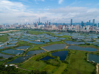 Aerial view of rural green fields with fish ponds on Hong Kong and the skylines of Shenzhen