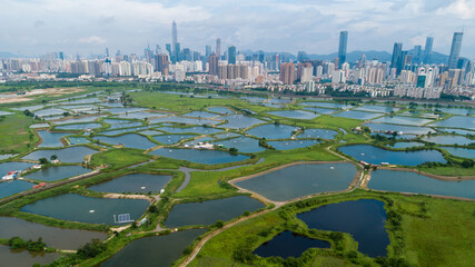 Aerial view of rural green fields with fish ponds on Hong Kong and the skylines of Shenzhen
